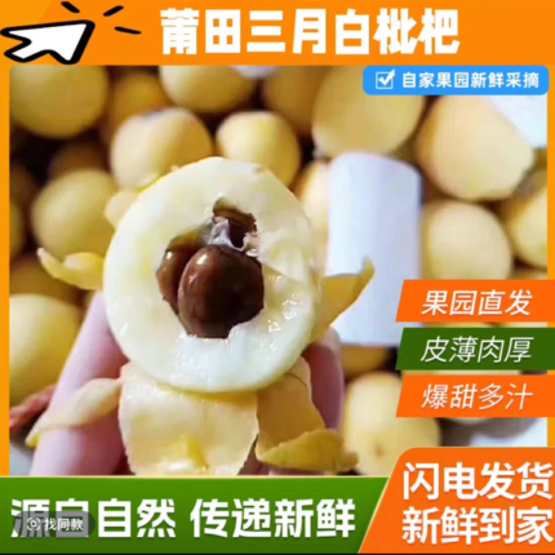 新鲜多汁超甜福建莆田香妃白梨白玉枇杷当季水果现摘现发顺丰包邮