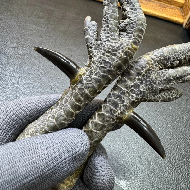 文玩鸡爪骨手把件（一对 处理好十天左右发货）