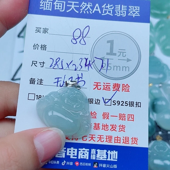 翡翠银S925镶嵌颈饰翡翠