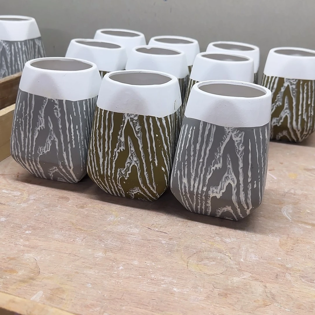 3个福利局绿植多肉盆［凑9元包邮24小时发］