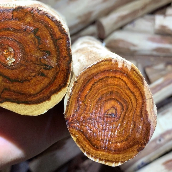 花梨木类海南黄花梨