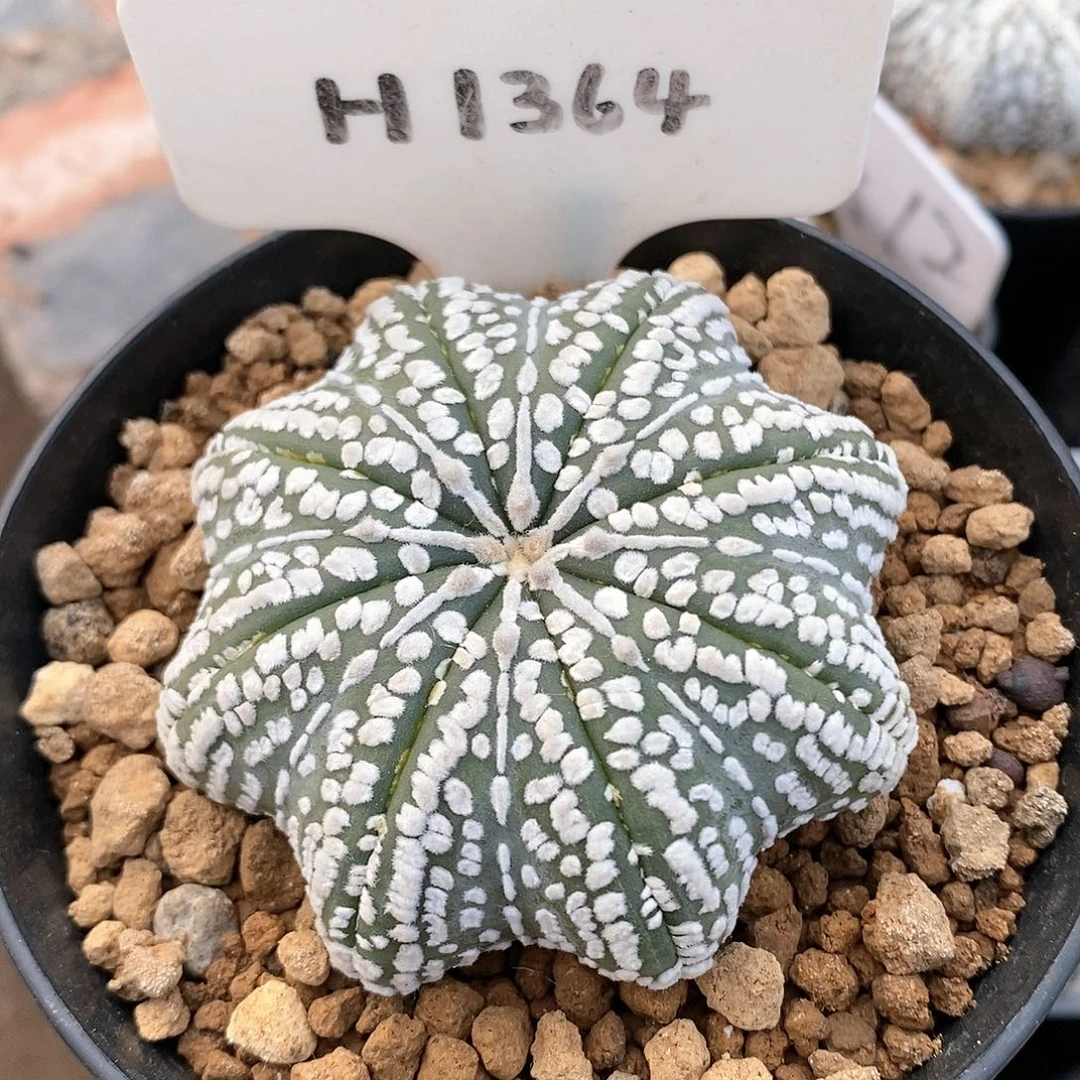 福利待遇也不错的呢