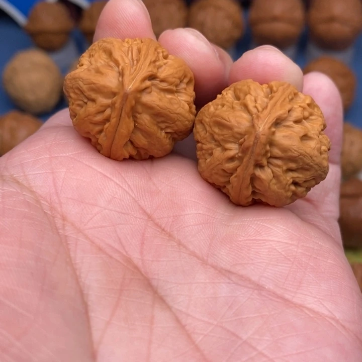 文玩核桃把件肉龙