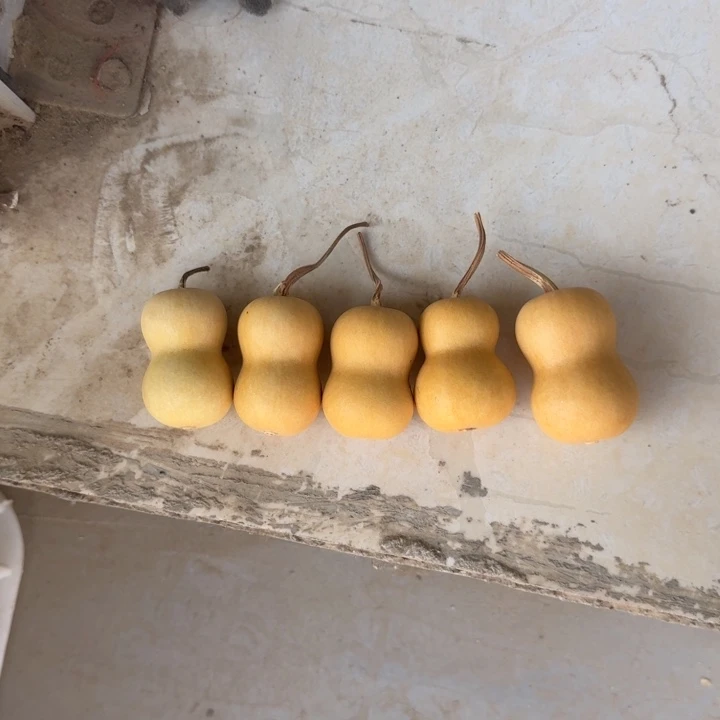 初****竹类骨头葫芦手把