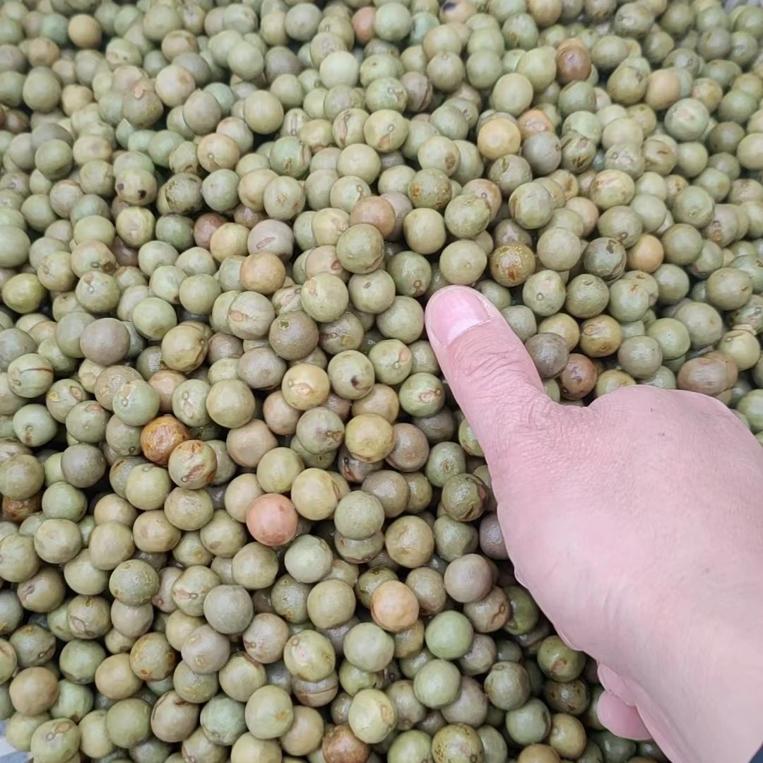 新鲜鸡头果带壳500g