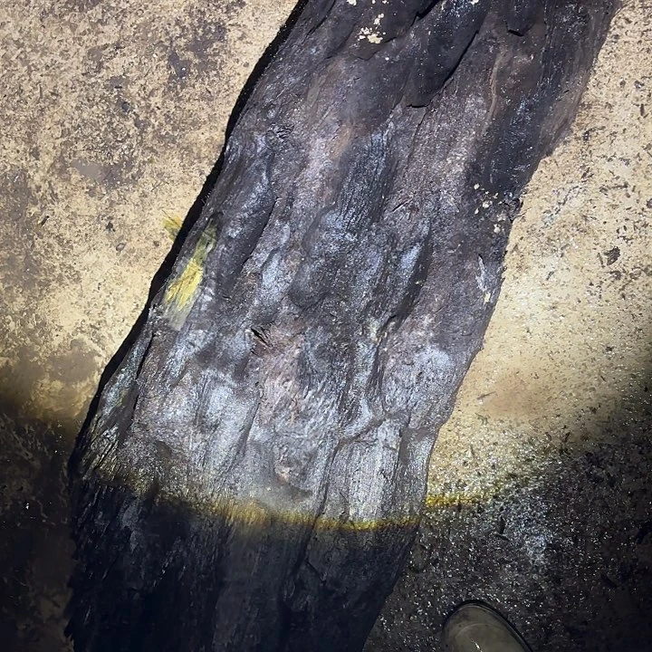 8***8金丝楠金丝楠阴沉木