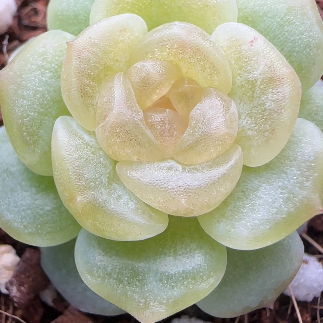 快****【满29包邮非偏远】729