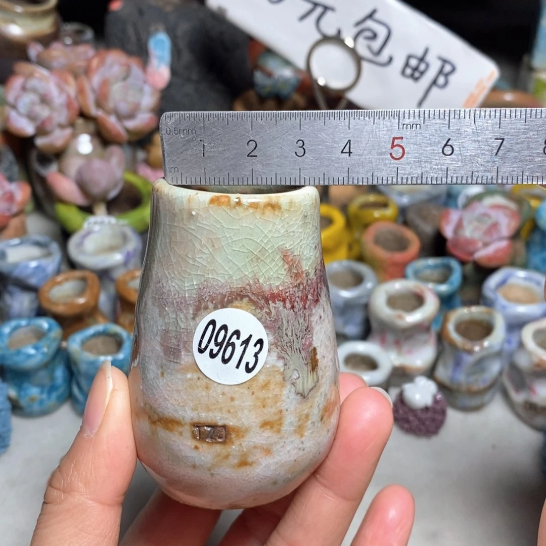 拍5送一个小礼物