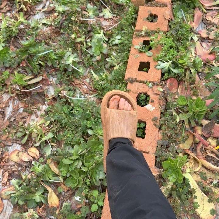 寄养空包链接啊啊