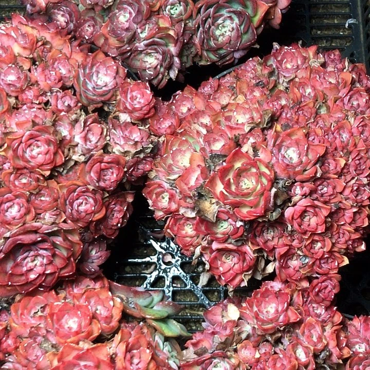 7////////////////////