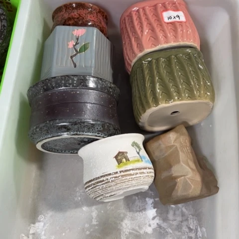 7个［所有订单凑满15明天发］