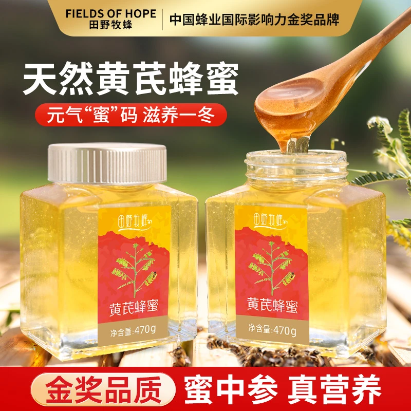 秋冬滋补【蜜中参】黄芪蜂蜜田野牧蜂 原生态天然纯蜜 滋补纯正原蜜