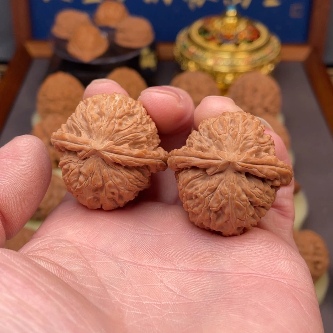 核桃把件白狮子：36全品