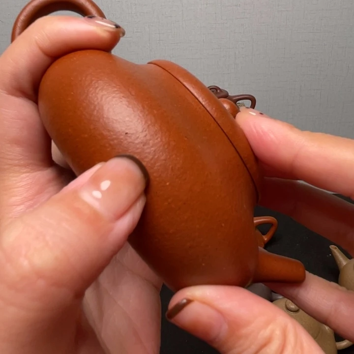 蔡***M紫砂壶全手工降坡