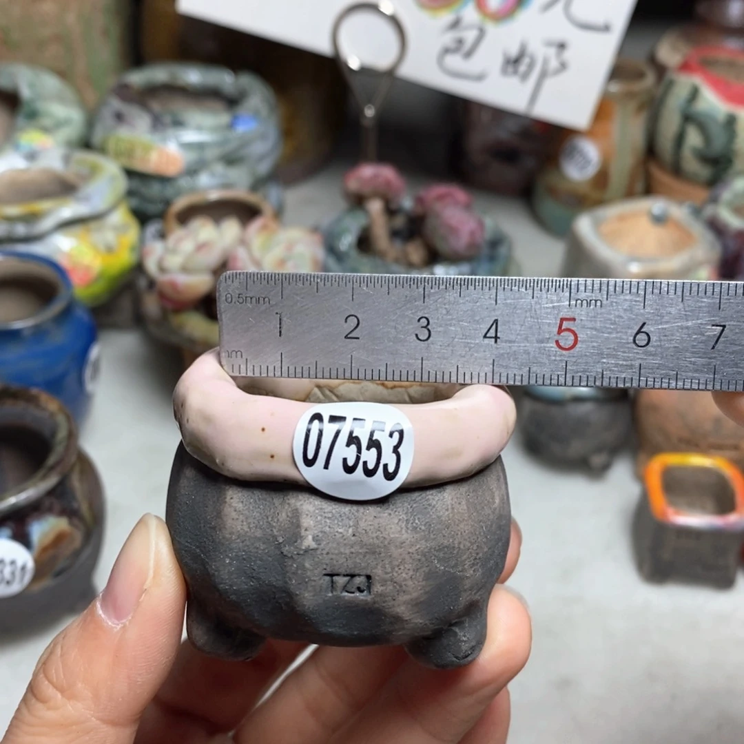 花盆拍3送一个小礼物