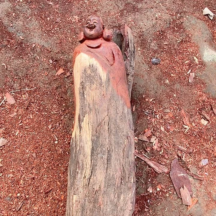 木756 毛料毛料毛料毛料