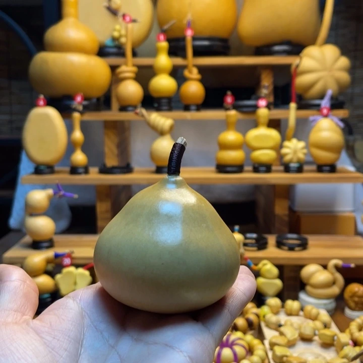 （***）天然葫芦自然生长