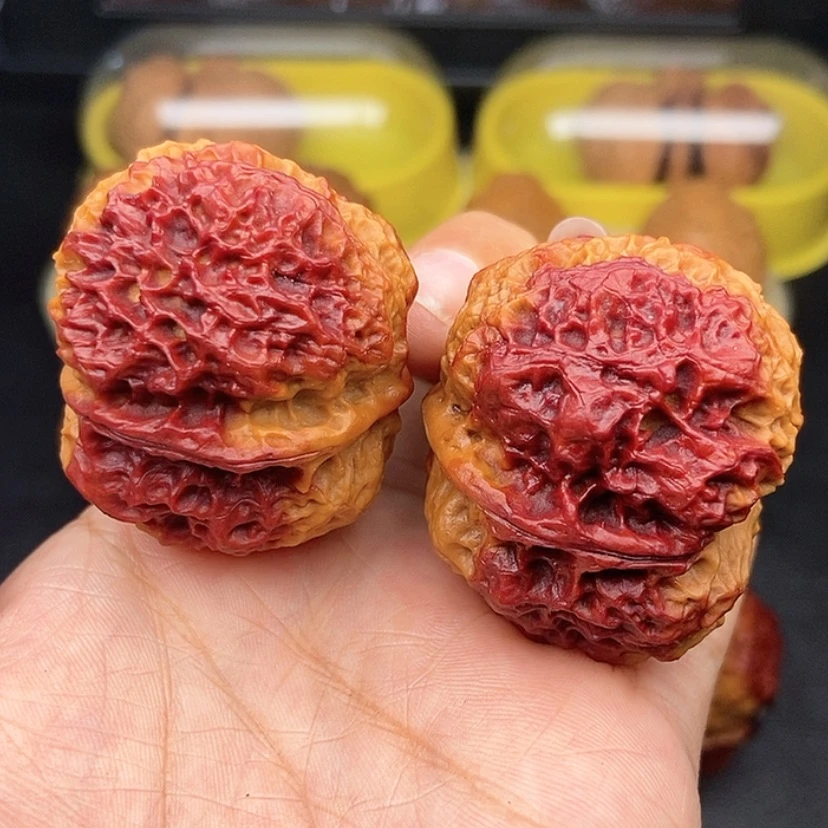 【闪购商品】文玩核桃把件43尺七彩火麒麟金蟾