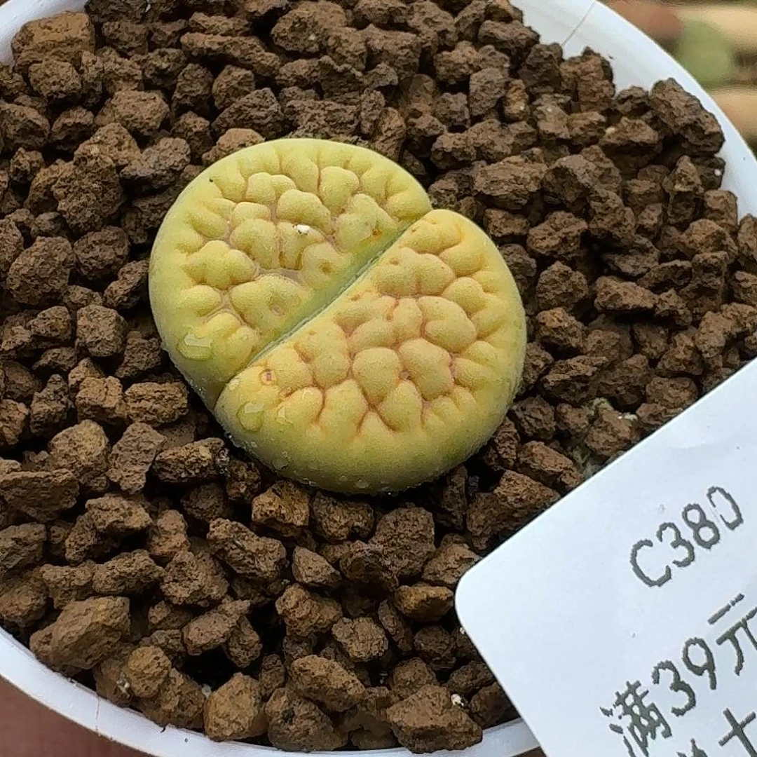 380哈哈哈哈哈哈哈哈哈哈哈哈