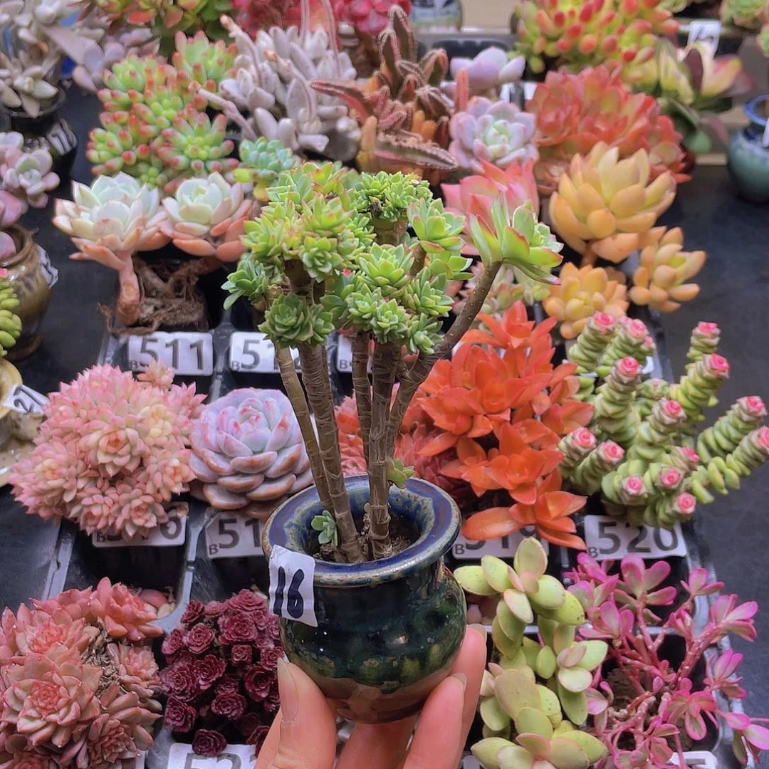 人***然花钱花钱花钱花钱花钱