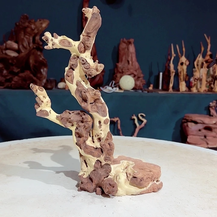 黑果木福*282金丝红木羊蹄甲半成品