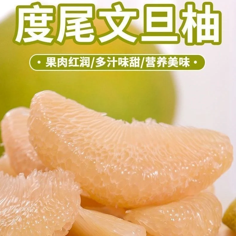 福建度尾文旦柚新鲜采摘当季水果酸甜多汁