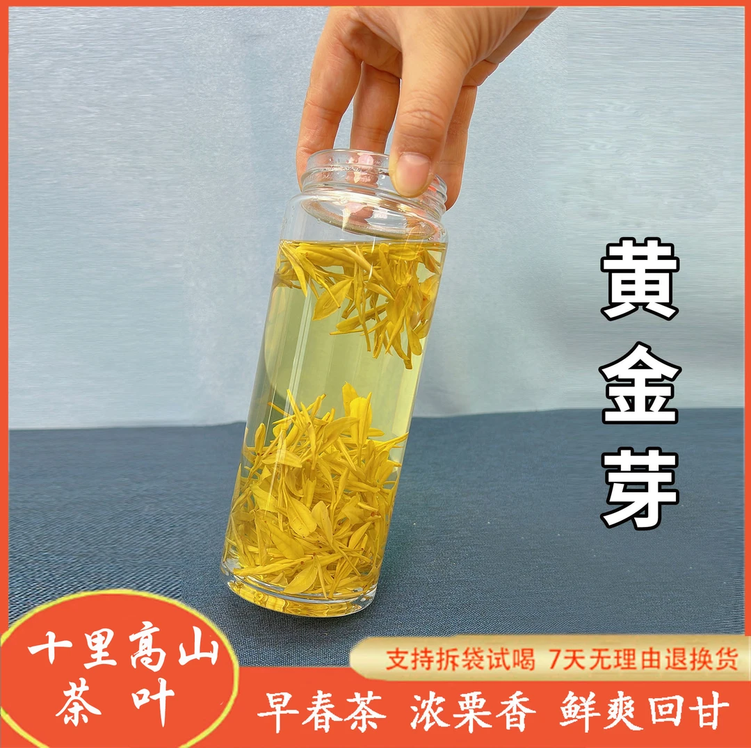 【黄金芽专场】K10款2025黄金芽茶叶高山新茶春茶绿茶浓香耐泡K7
