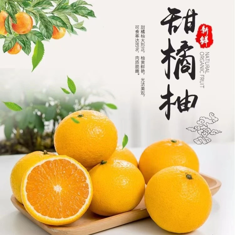 福建平和桔柚甜心柚子皮薄肉厚多汁香甜爽口新鲜时令水果好吃