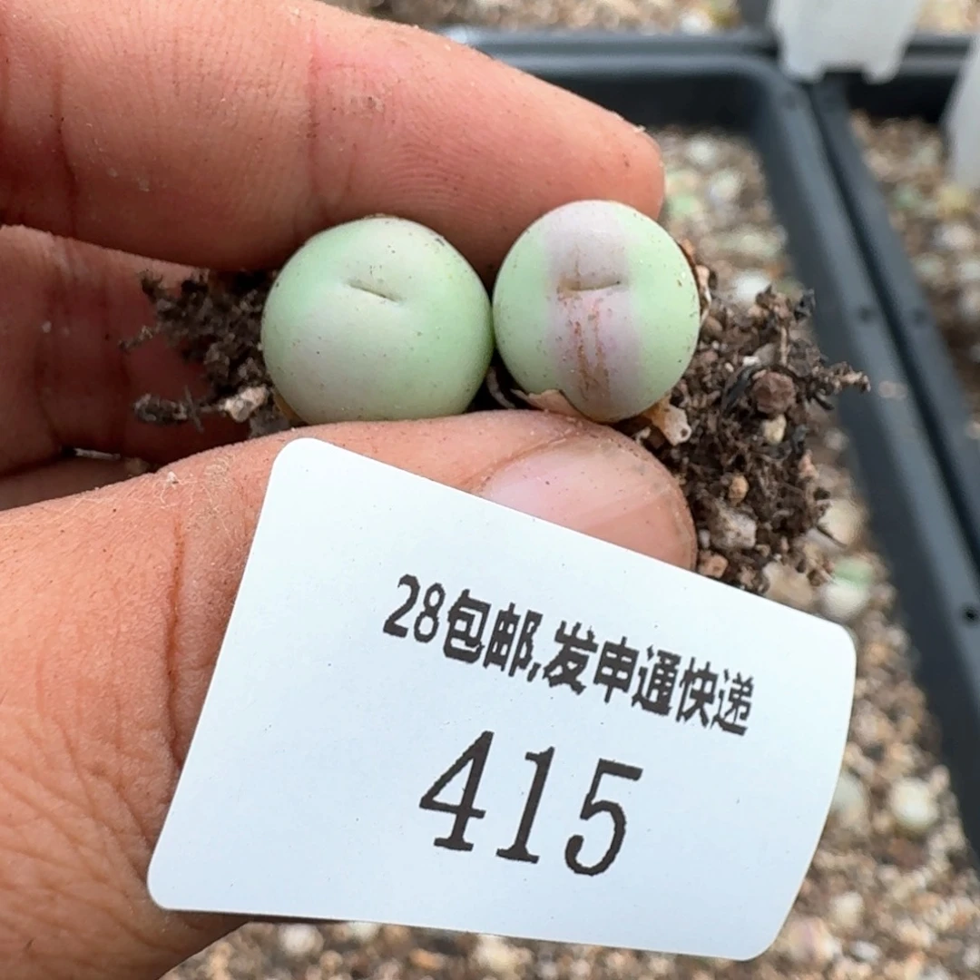 415。