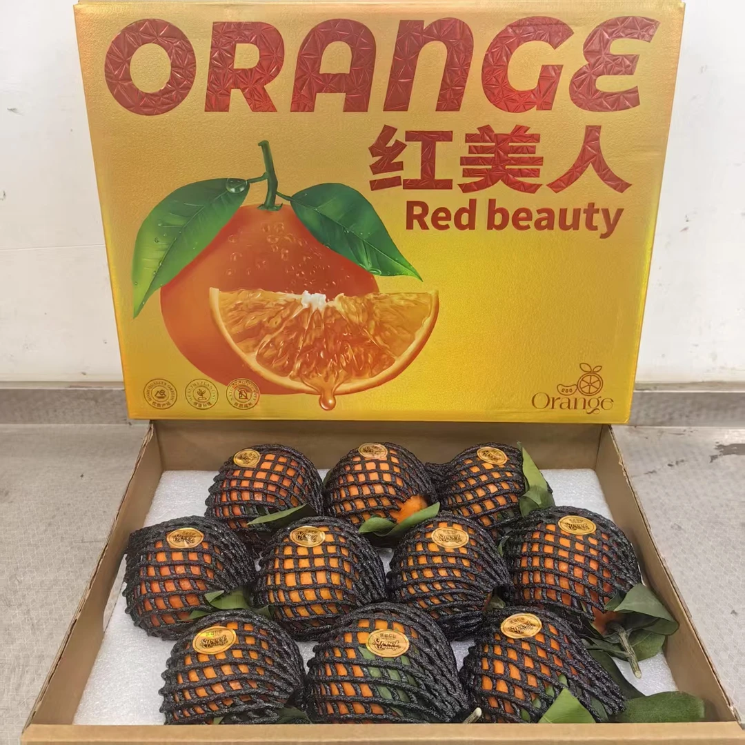 【红美人果冻橙礼盒】整箱带箱8斤左右 仅限太原六城区榆次购买