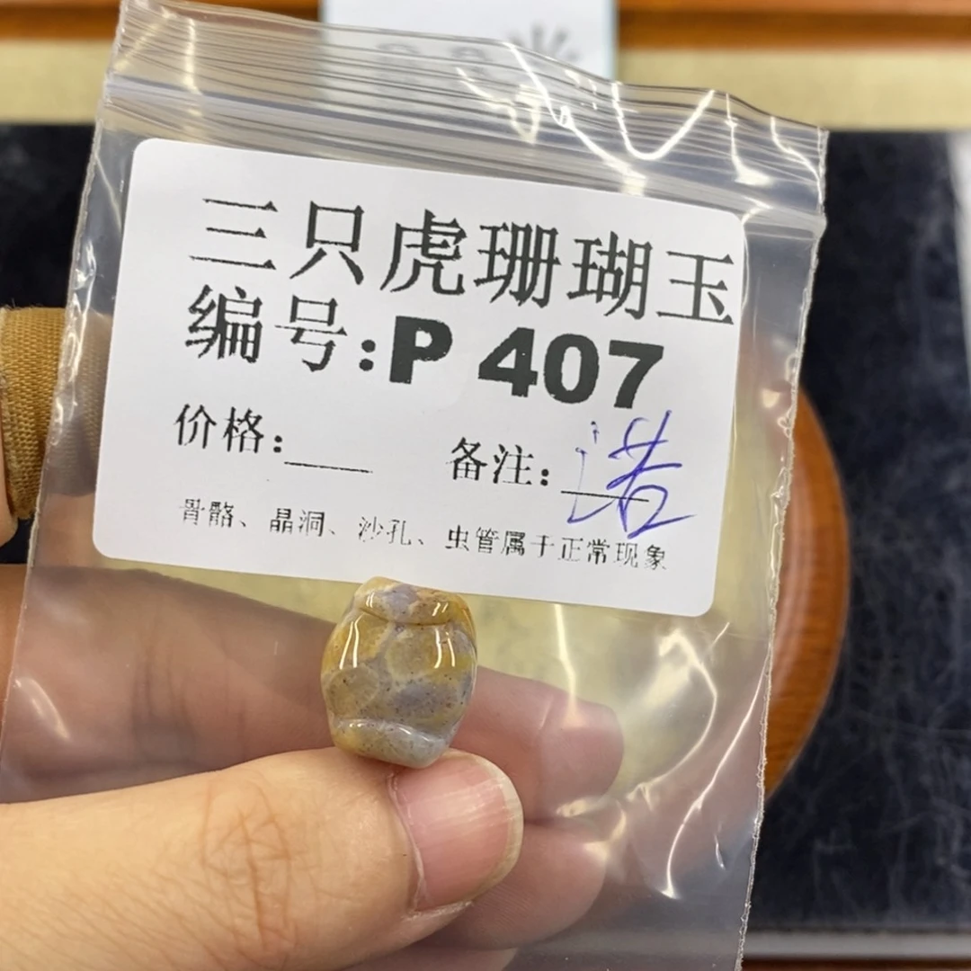 硅化珊瑚（珊瑚玉）1未镶嵌诺*