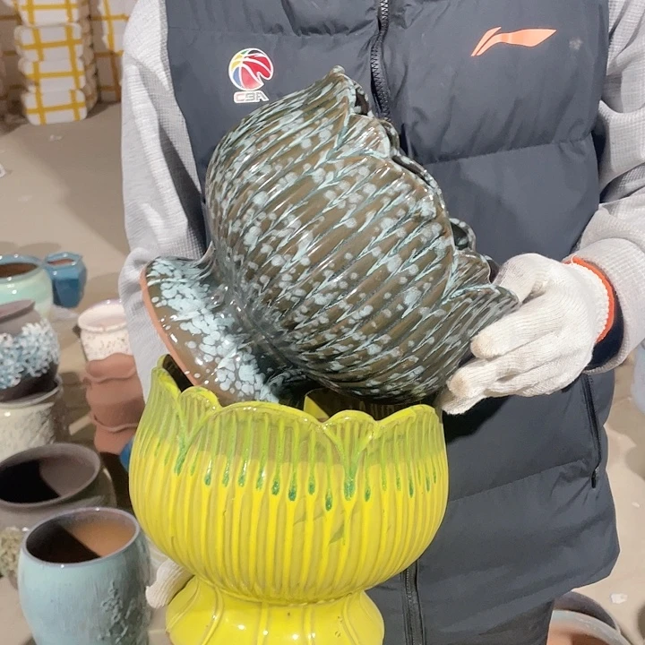 正品两个20/20系列