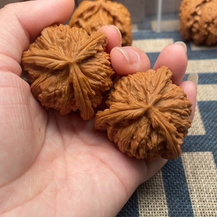 压***竿核桃白狮子43核桃