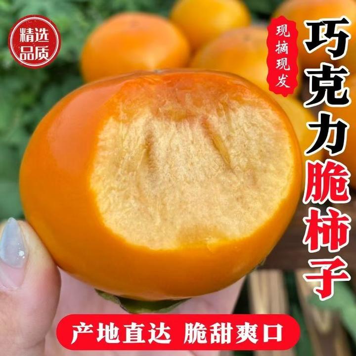 [拧总专属]山西阳丰巧克力脆柿子冰糖心当季新鲜应季水果整箱现