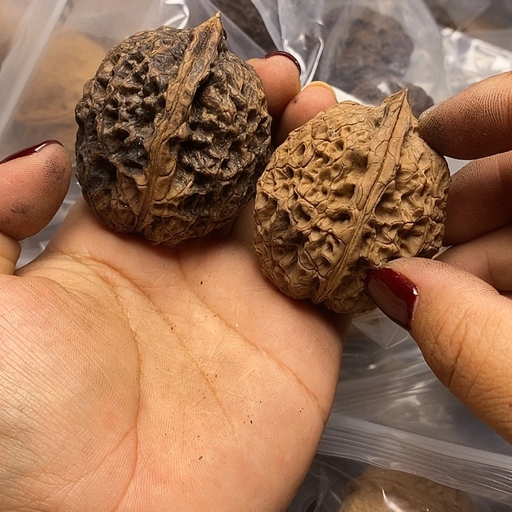 把件文玩核桃云南文玩核桃94号43m