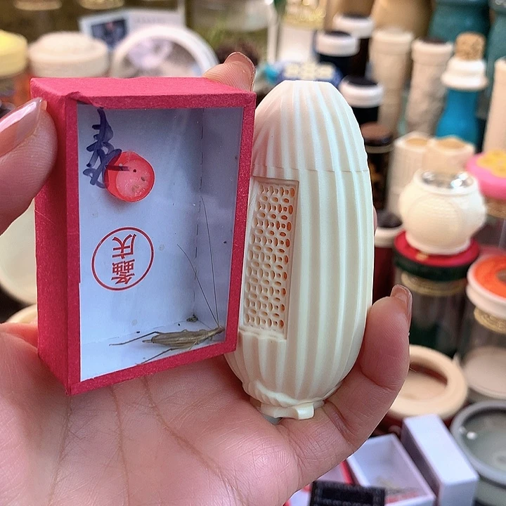 对***画带泰竹一只啊啊啊啊啊