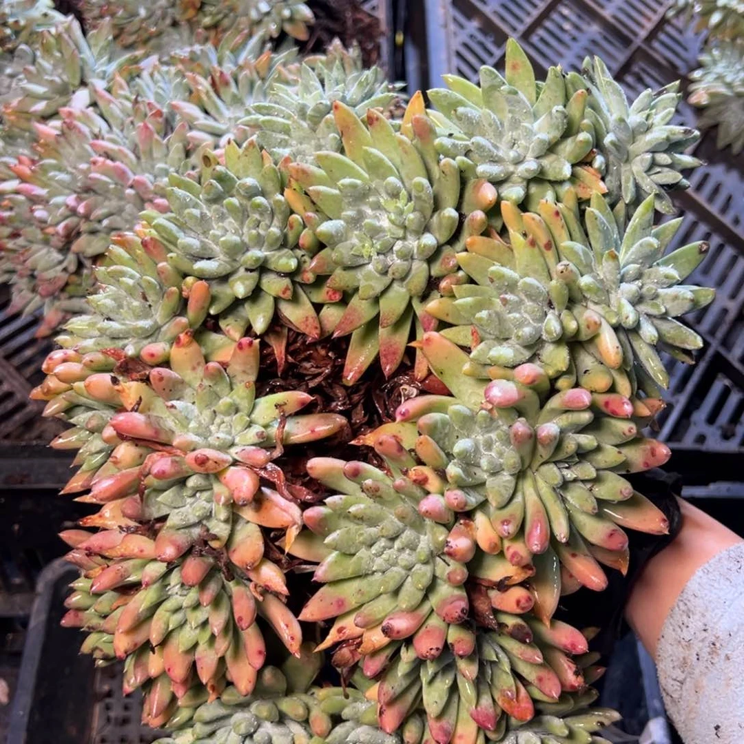 2873哈哈哈哈哈哈哈哈哈哈