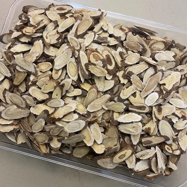 【红芪】甘肃 大自然 北红芪