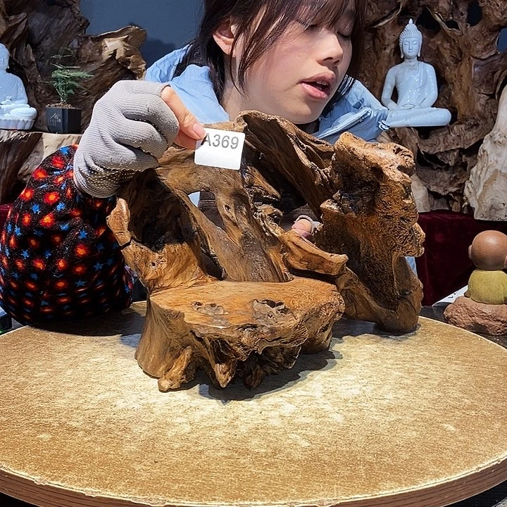 天**儒369株木随行的小根艺