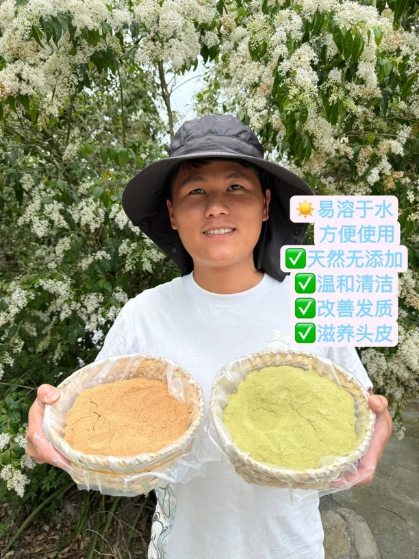 广西桂林源头产地茶麸粉室内洗头清洗正宗草本养发家用