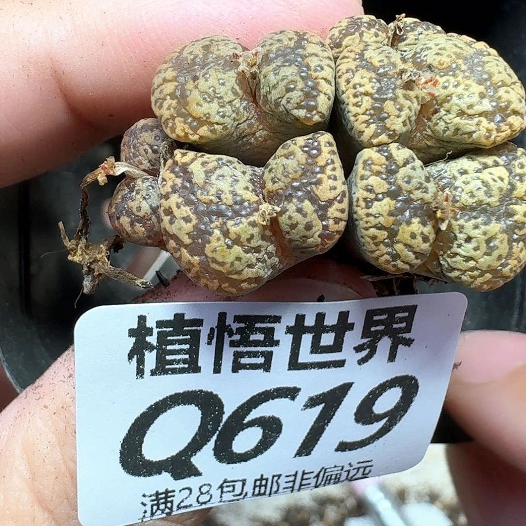 的润泽的润泽的人的人生f