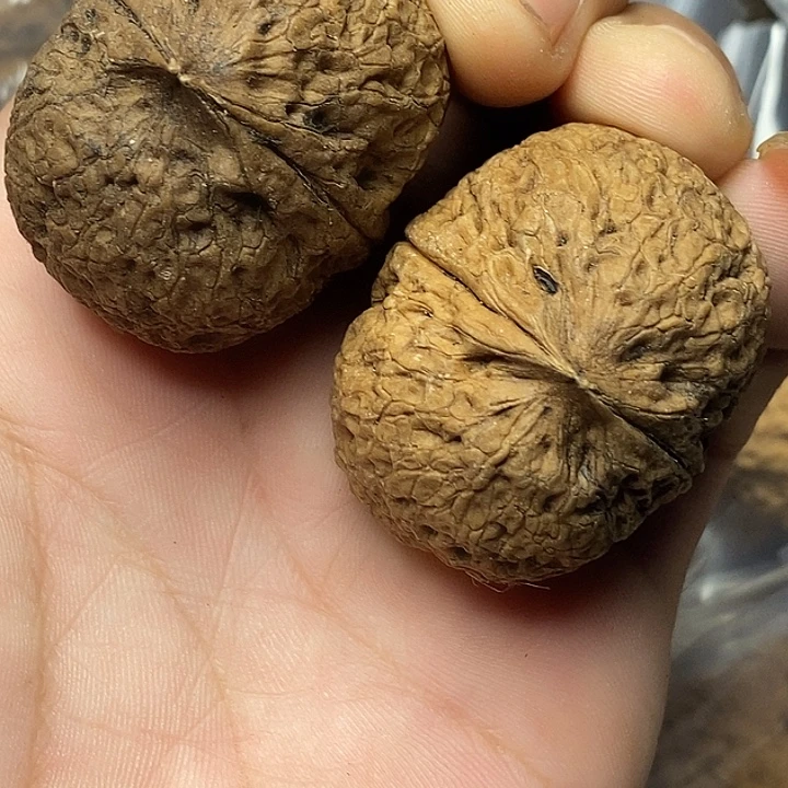 文玩核桃把件云南铁核桃8