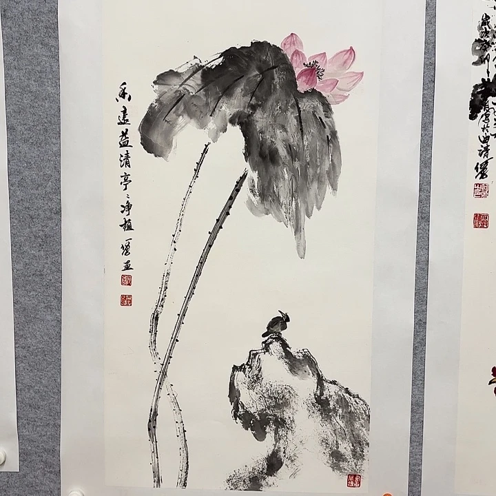 国画花鸟的翅膀和翅膀100.50