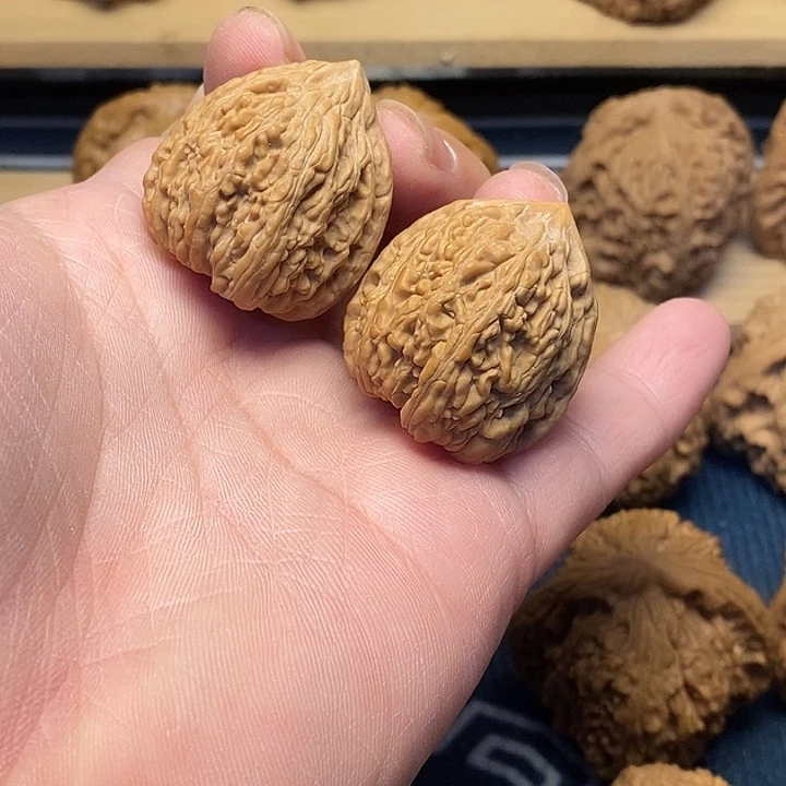 核桃30塔尖福利核桃