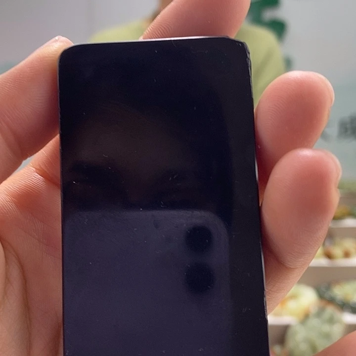 和田玉挂件未镶嵌多瑕，多样性随机发一个