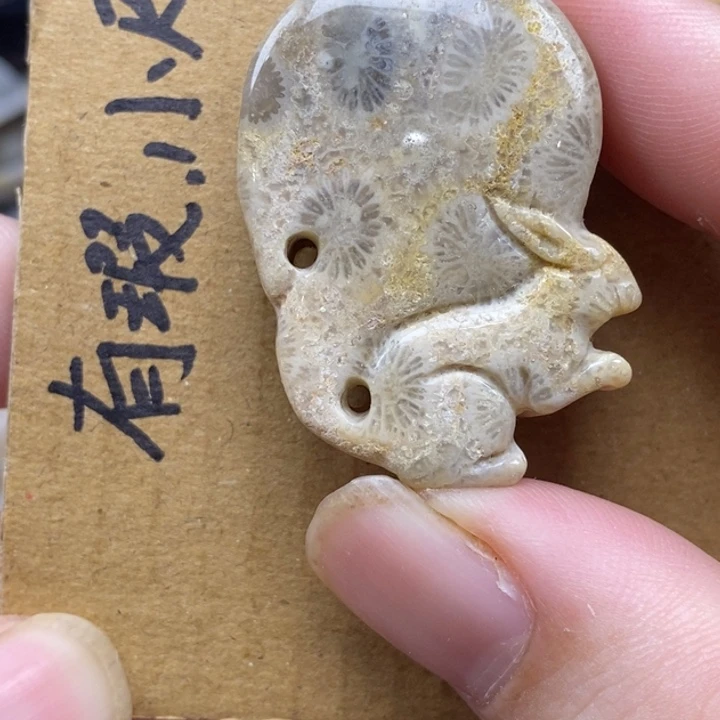 硅化珊瑚（珊瑚玉）未镶嵌颈饰