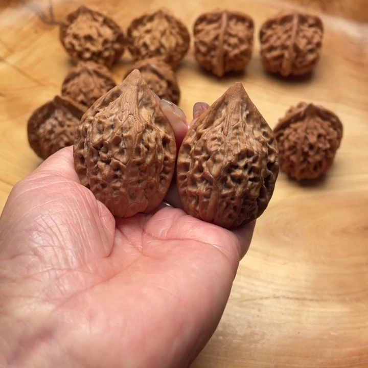 北***柳核桃手串/手链秦岭野生核桃