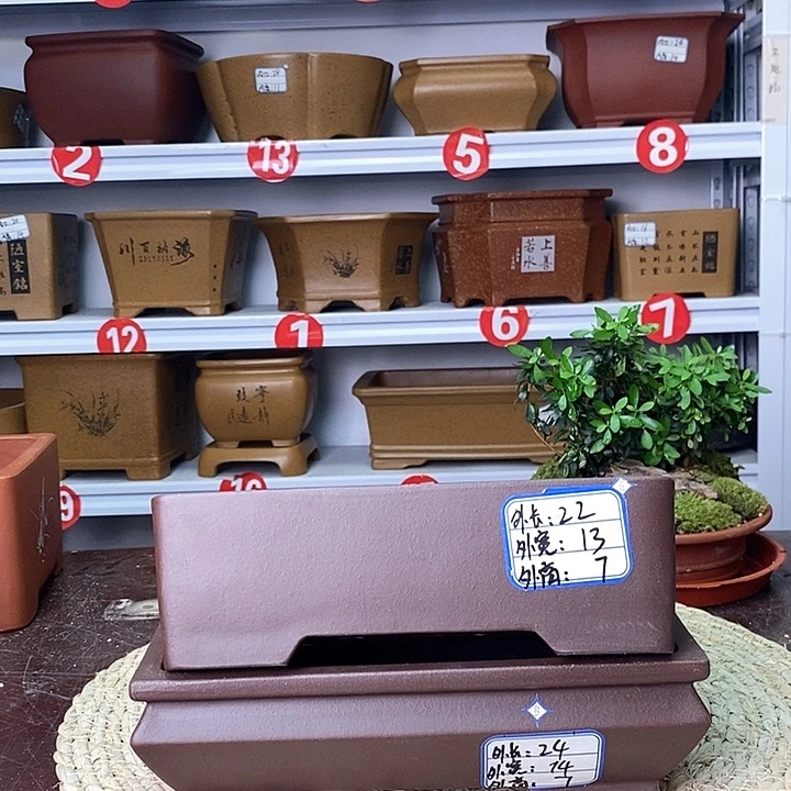 紫砂花盆今天下午