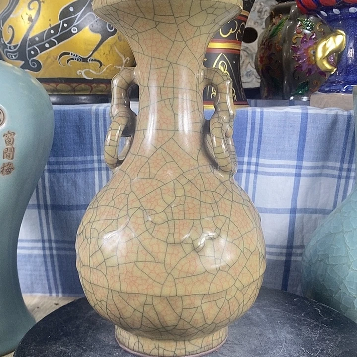 陶泽如花儿盛开了