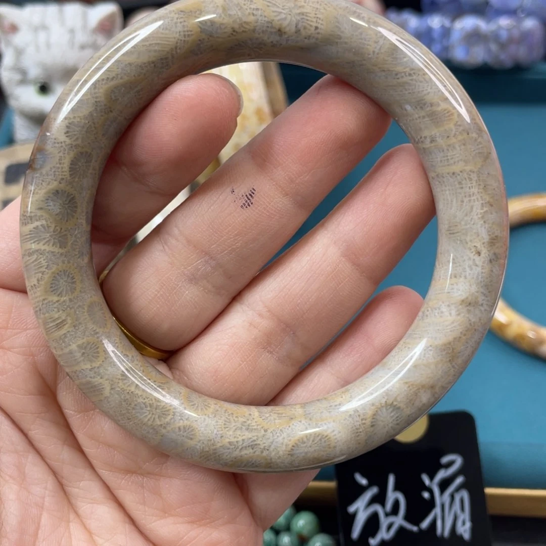 未镶嵌手镯硅化玉